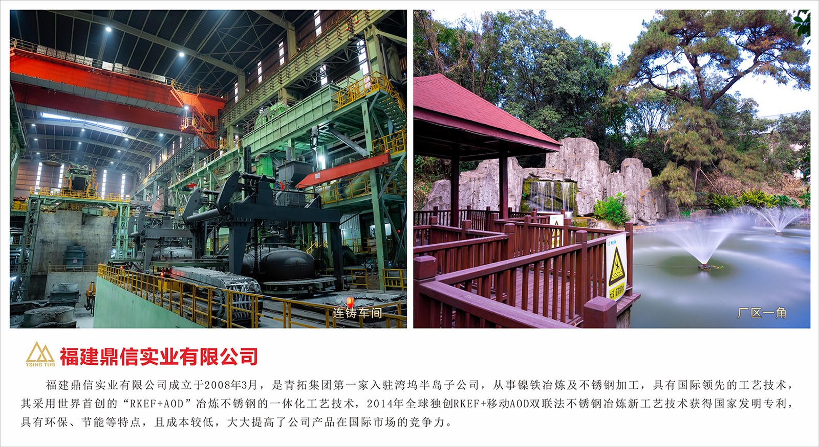 生长历程2.jpg